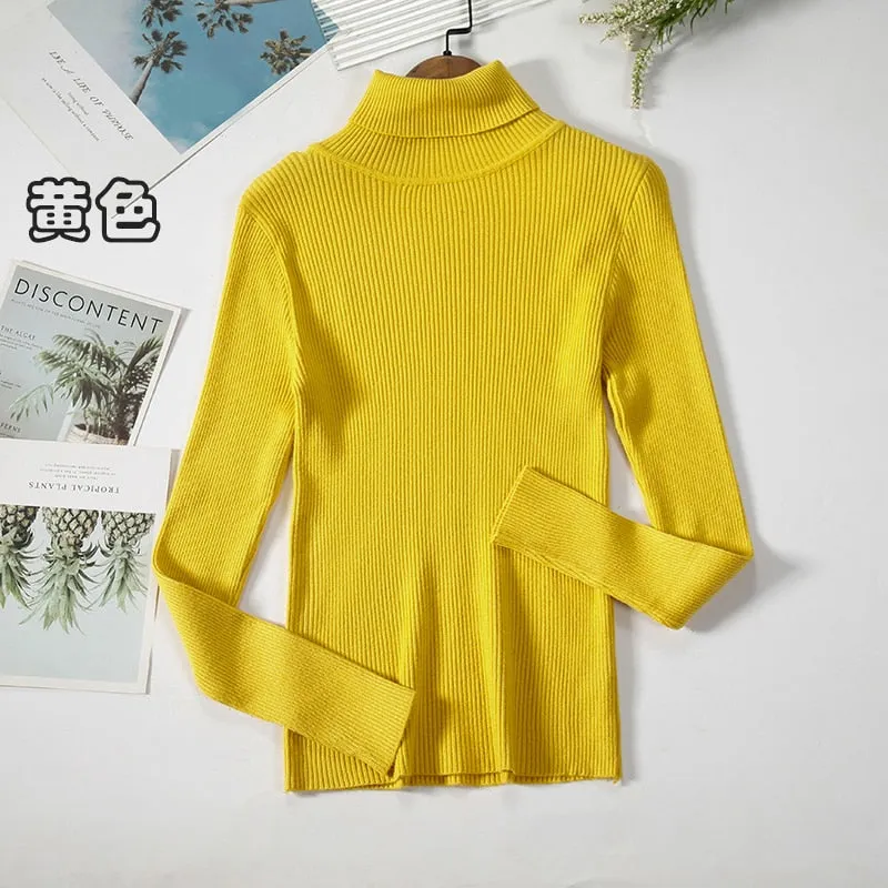 Basic Turtleneck Women Sweaters Autumn Winter Warm Pullover Slim Tops Ribbed Knitted Sweater Jumper Soft Pull Female