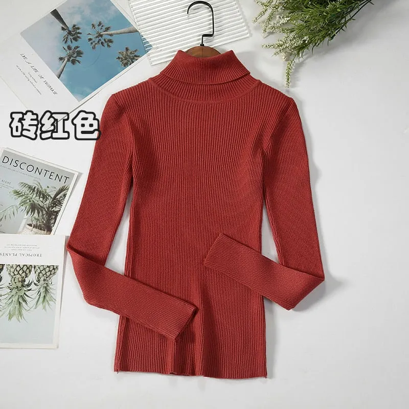 Basic Turtleneck Women Sweaters Autumn Winter Warm Pullover Slim Tops Ribbed Knitted Sweater Jumper Soft Pull Female