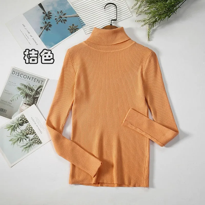 Basic Turtleneck Women Sweaters Autumn Winter Warm Pullover Slim Tops Ribbed Knitted Sweater Jumper Soft Pull Female