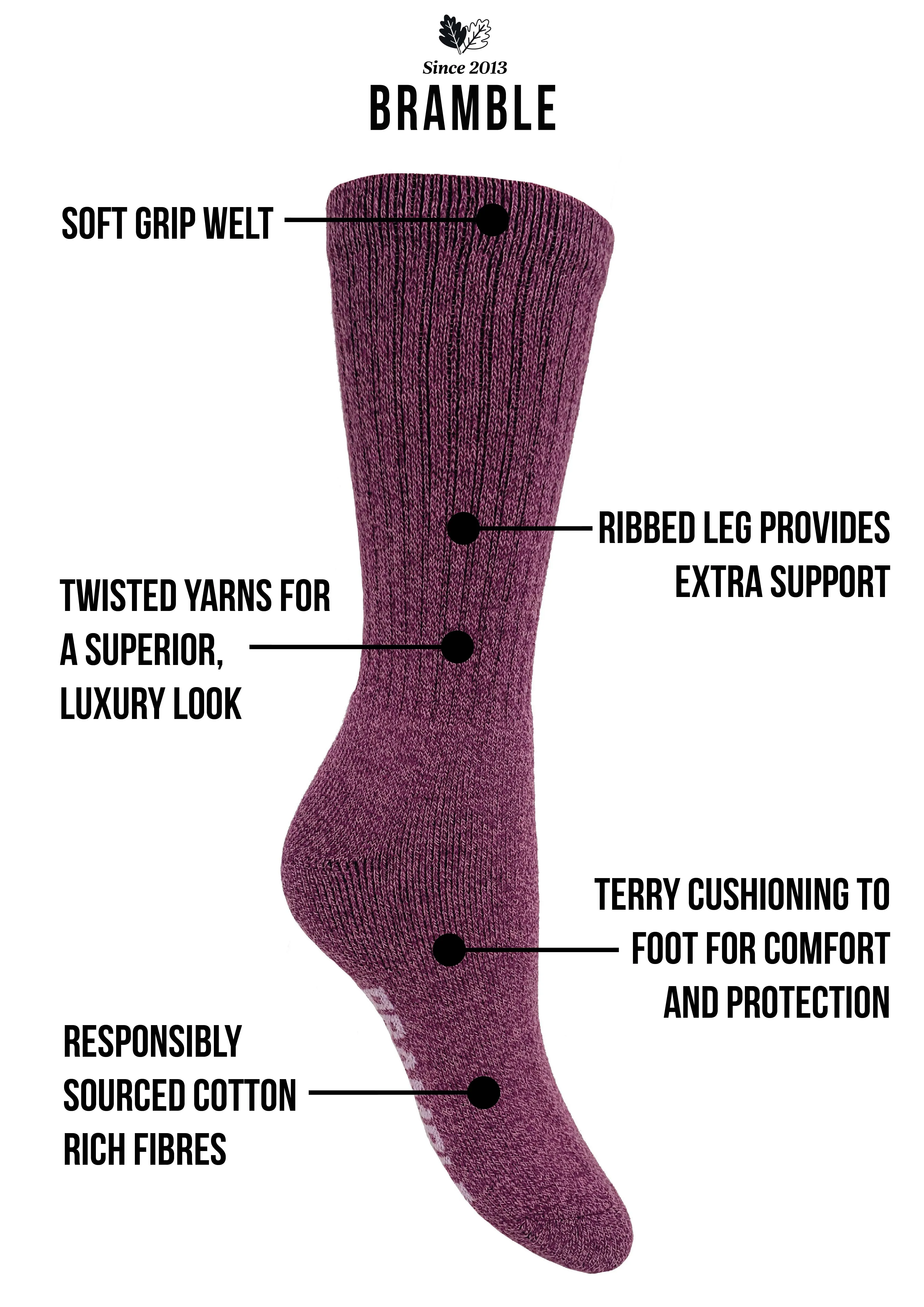 Bramble - Ladies All Terrain Socks with Biome Linseed | 3 Pairs