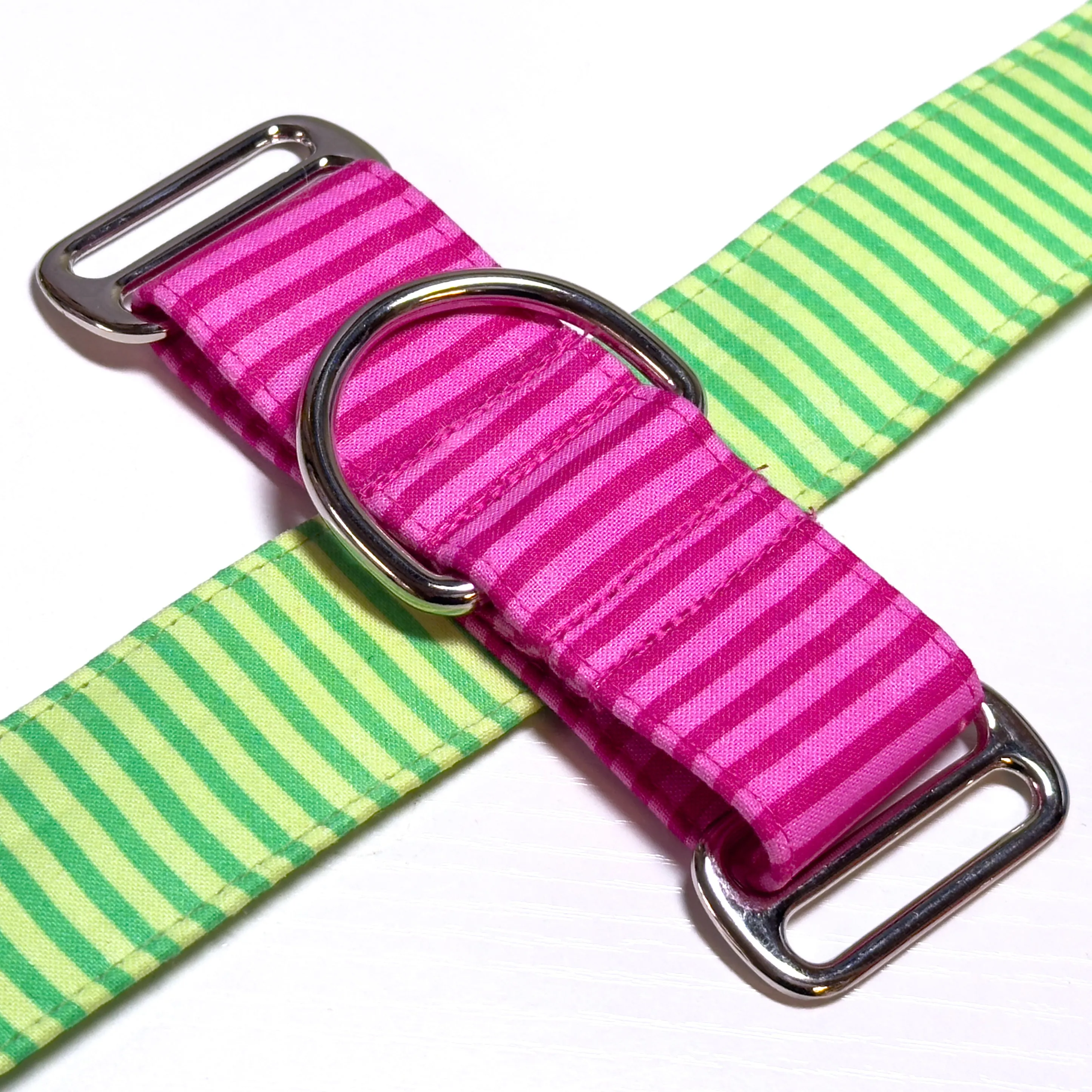 Design Your Collar - Spectrum Stripes Custom Martingale