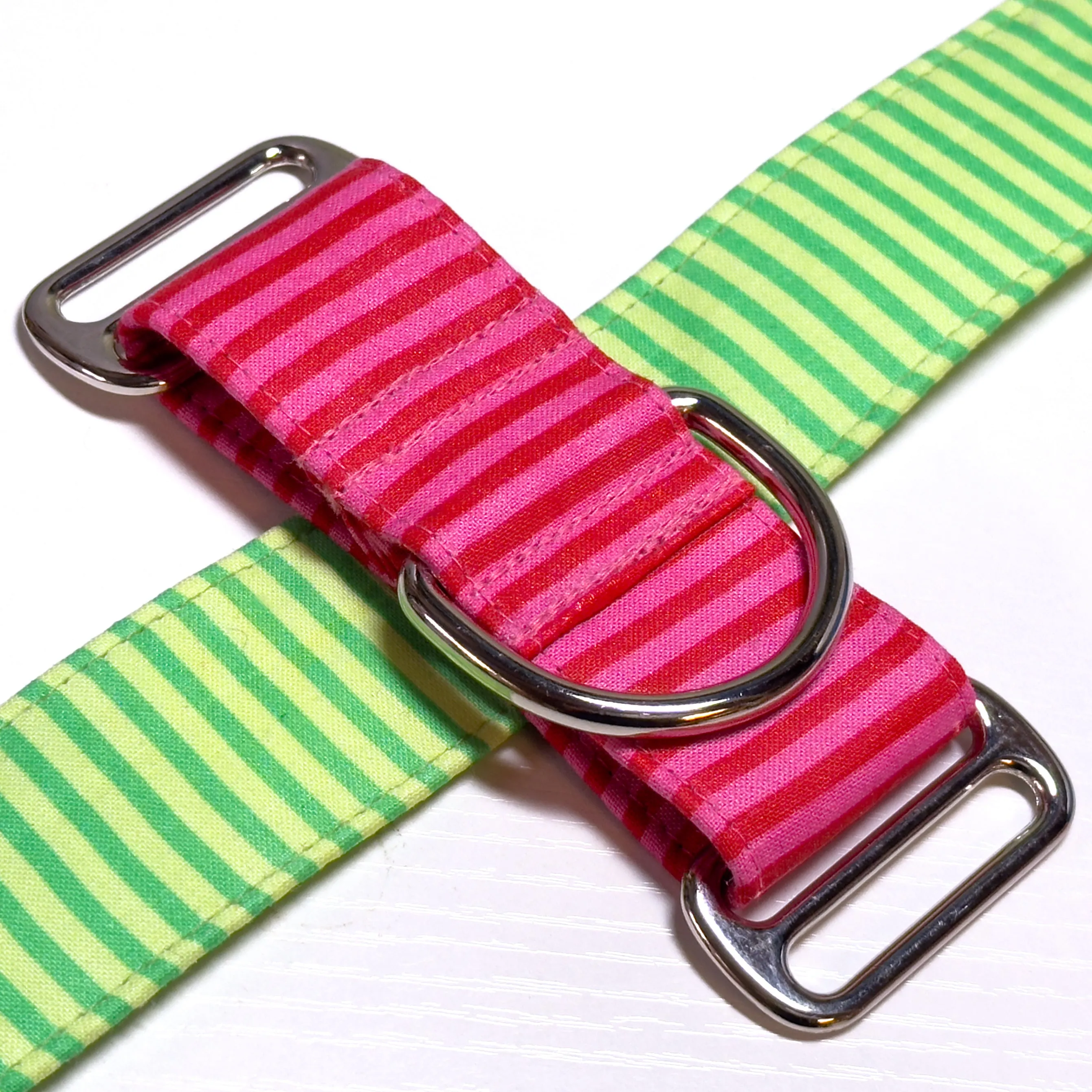 Design Your Collar - Spectrum Stripes Custom Martingale