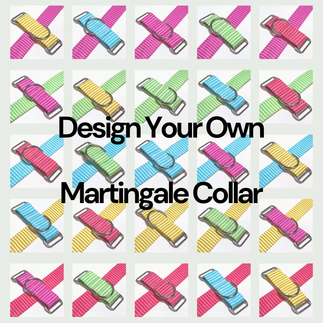 Design Your Collar - Spectrum Stripes Custom Martingale