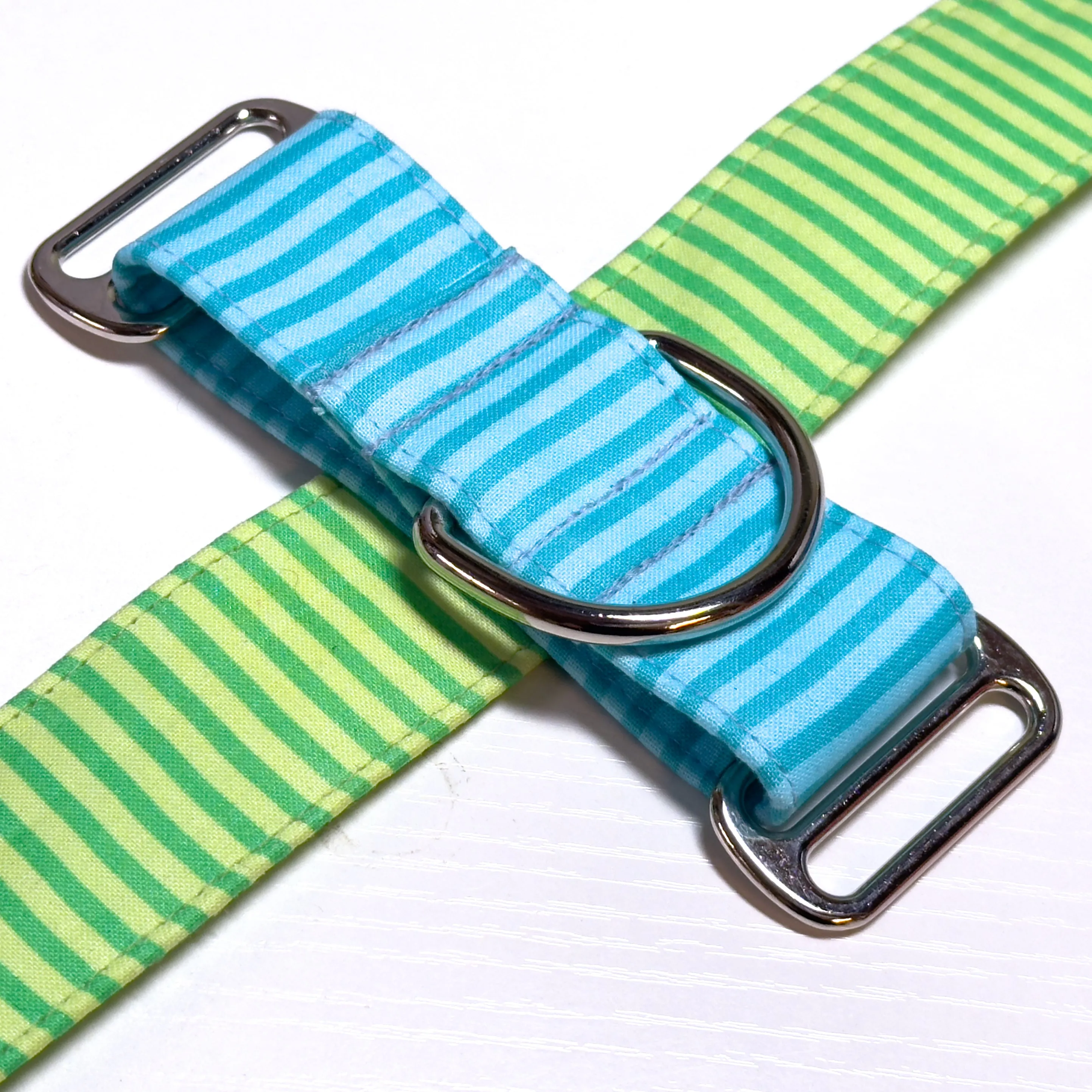 Design Your Collar - Spectrum Stripes Custom Martingale