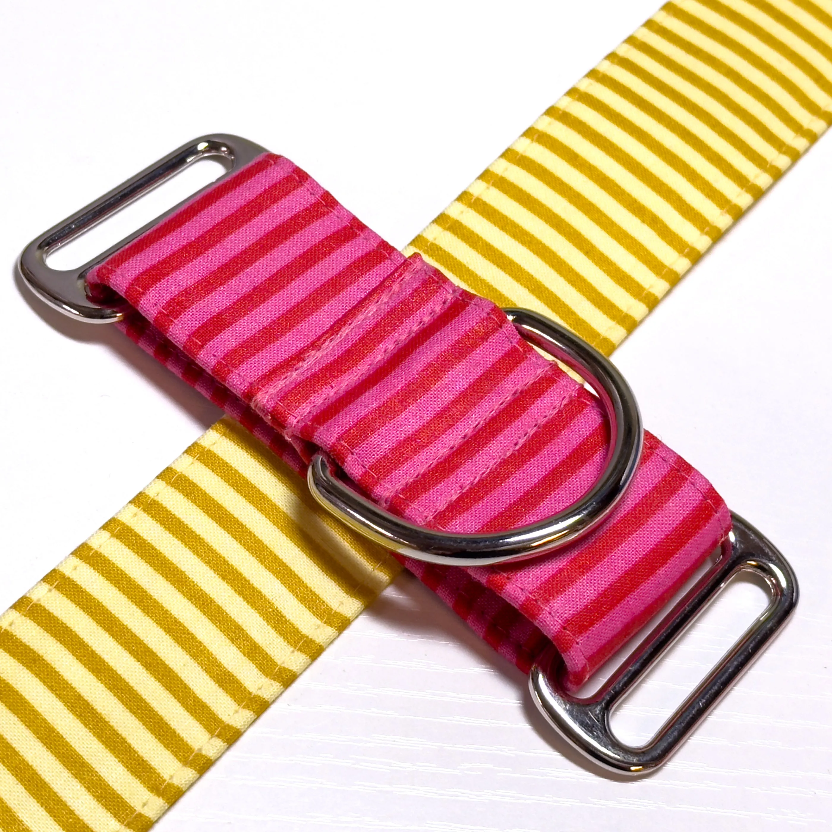 Design Your Collar - Spectrum Stripes Custom Martingale