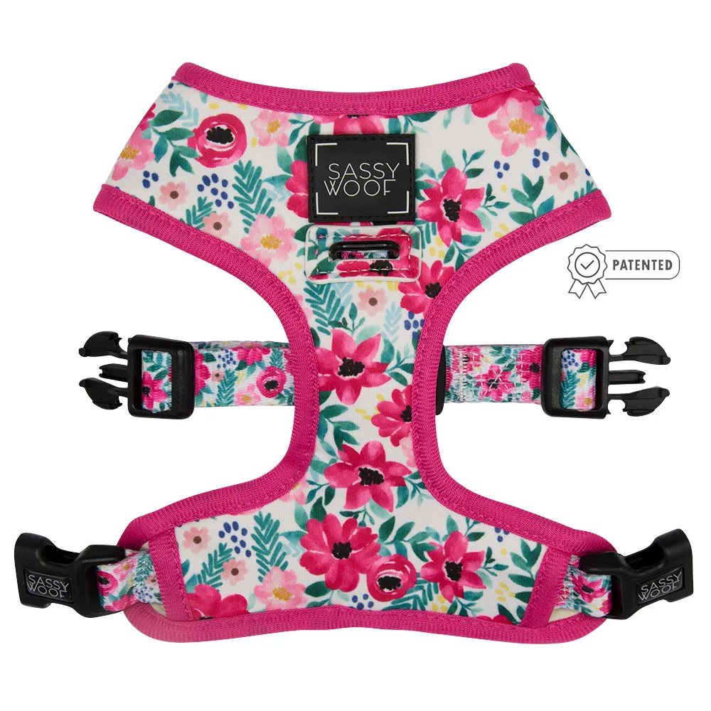 Dog Four Piece Bundle - Floral Frenzy