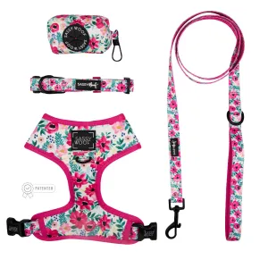 Dog Four Piece Bundle - Floral Frenzy