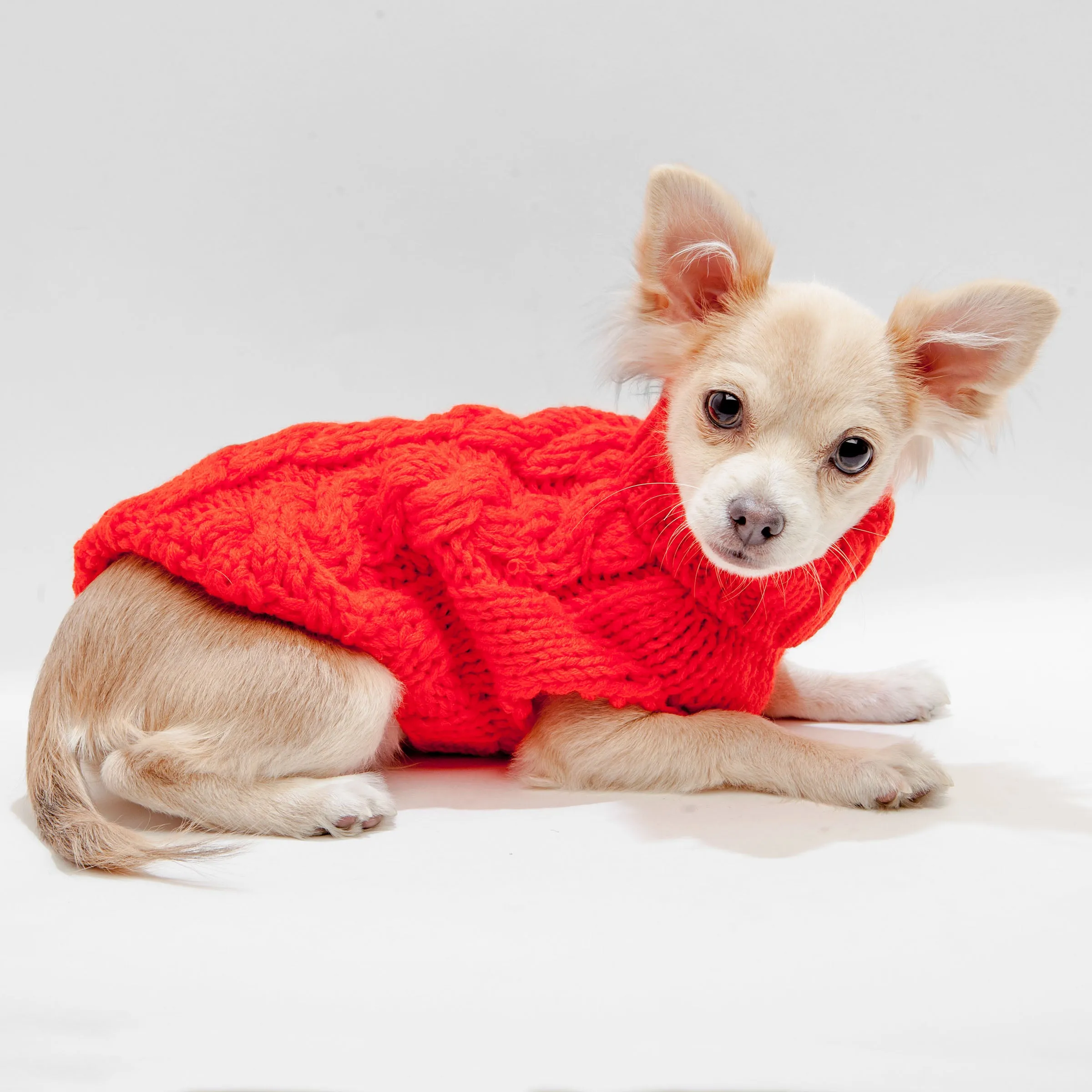 Hand Knit Turtleneck Sweater in Papaya Electric (Dog & Co. Exclusive) (FINAL SALE)