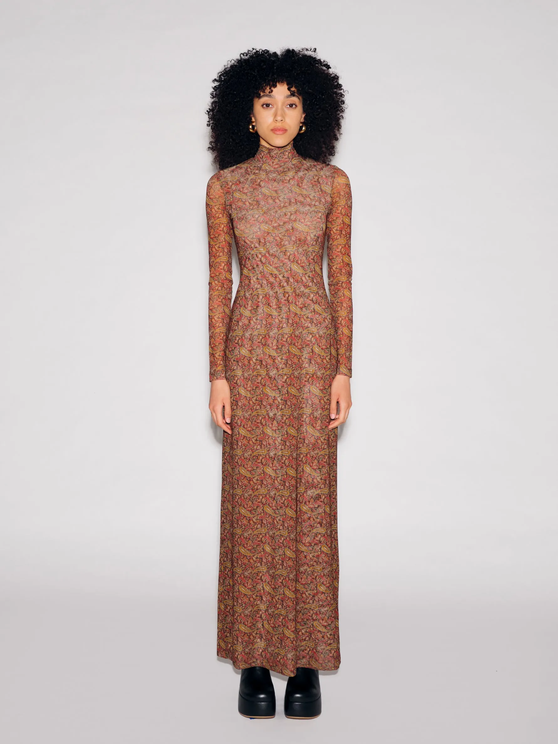 LONG SLEEVE TURTLENECK DRESS - PAISLEY MESH