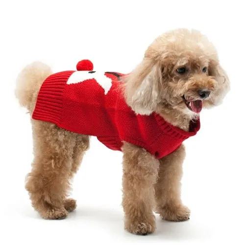 Red Nose Reindeer Sweater