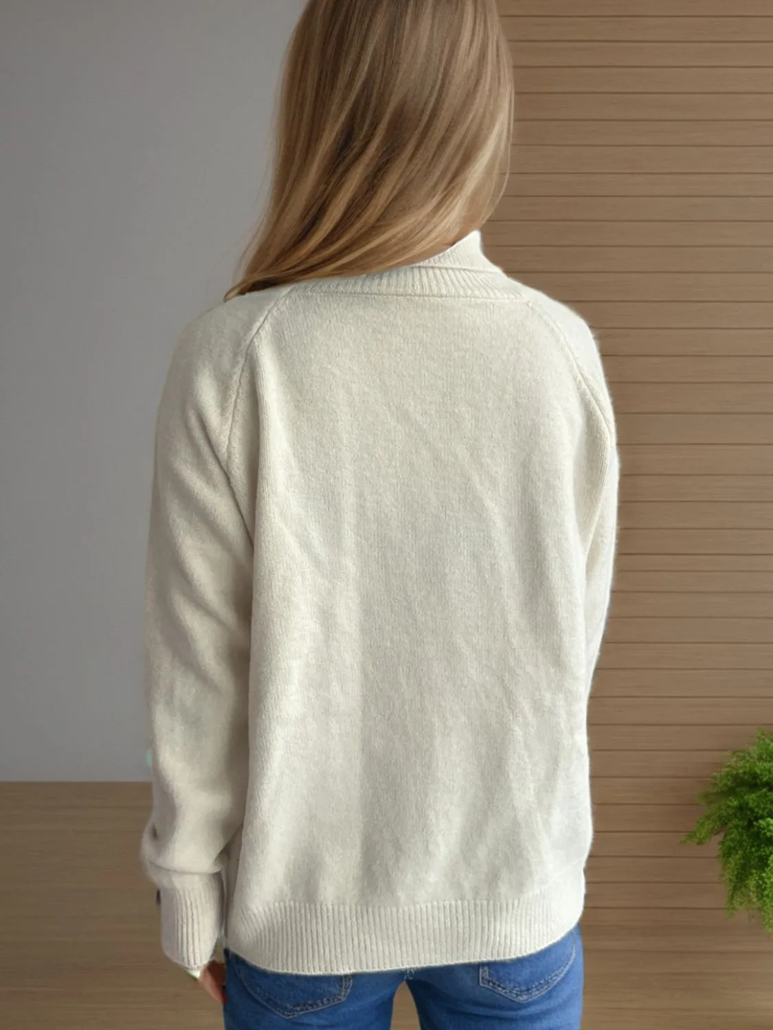 Solid Color Turtleneck Long Sleeve Sweater