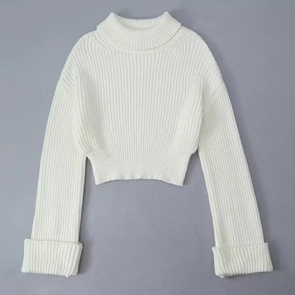 Solid Minimalist Casual Sweater For Women Turtleneck Long Sleeve Knitting Pullover Sweaters Female Fashion Clothing Style