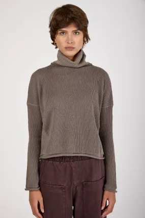 Turtleneck Knit Sweater in Taupe